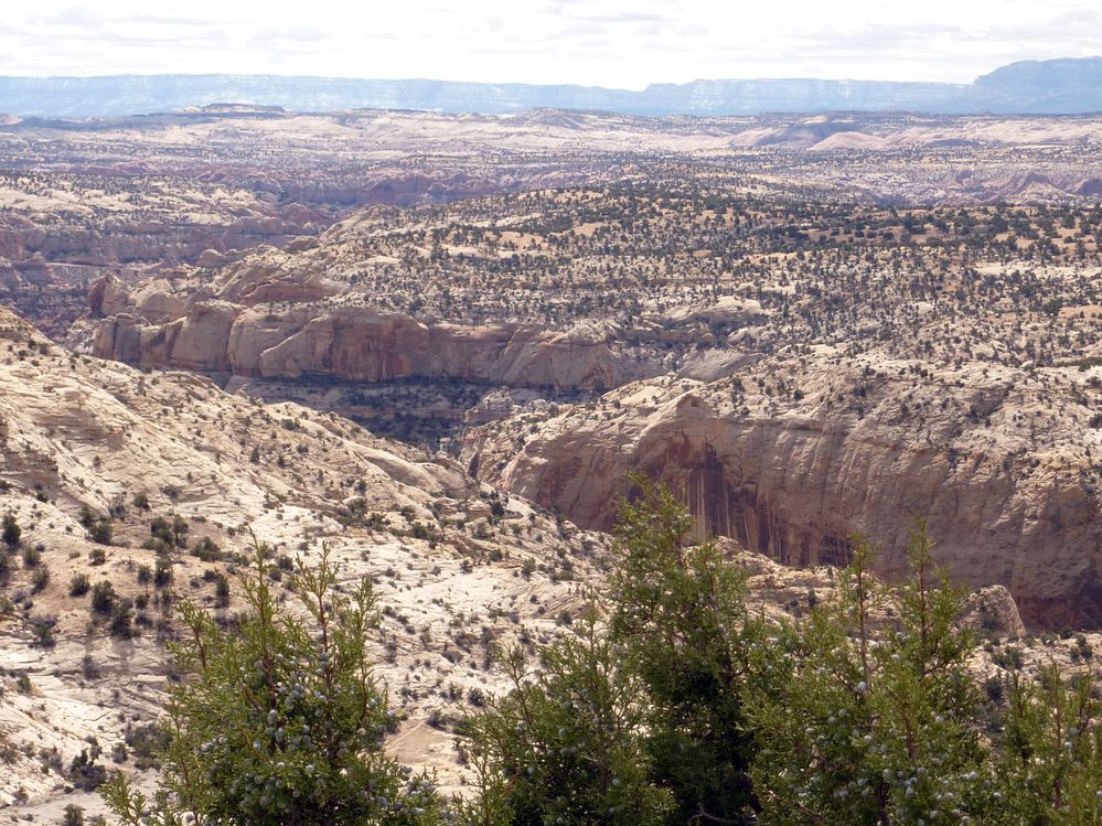 Grand Staircase - Escalante (52).JPG